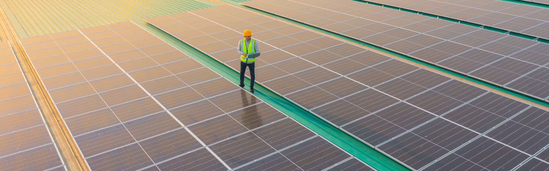 Man walking in solar farm